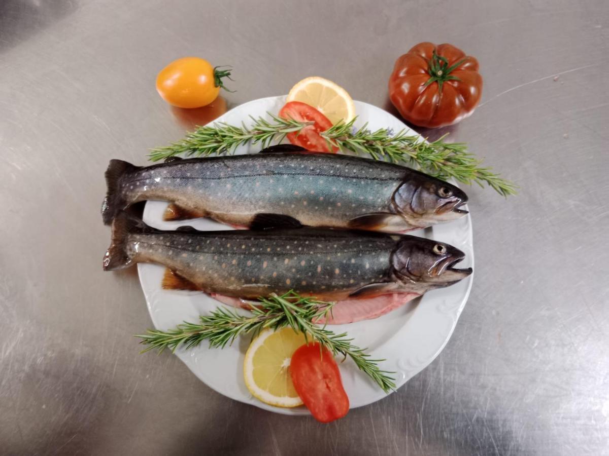 Hotel Waldcafe Neustift im Stubaital Luaran gambar